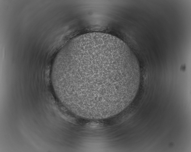 X0000116610745200912312117