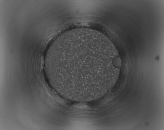 X0000116610747200912312117