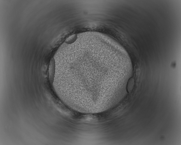 X0000116610750200912312117