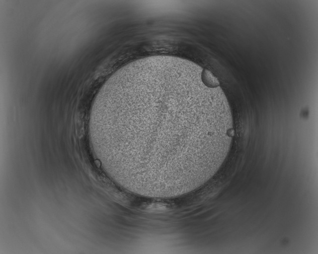 X0000116610751200912312117