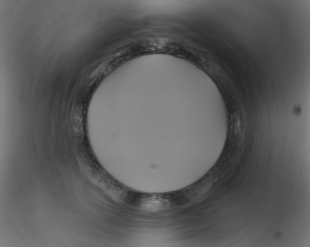 X0000116610754200912312117