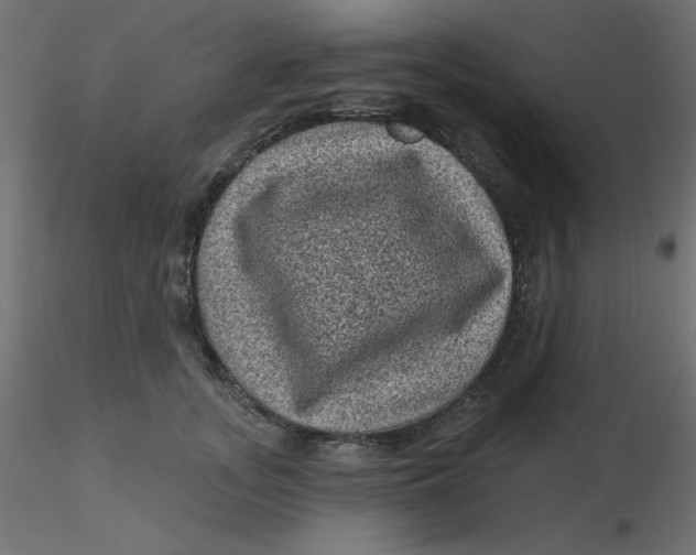 X0000116610755200912312118