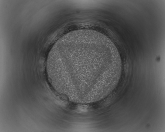 X0000116610757200912312118