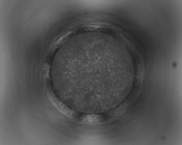 X0000116610758200912312118