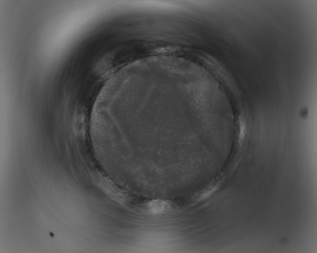 X0000116610762200912312118