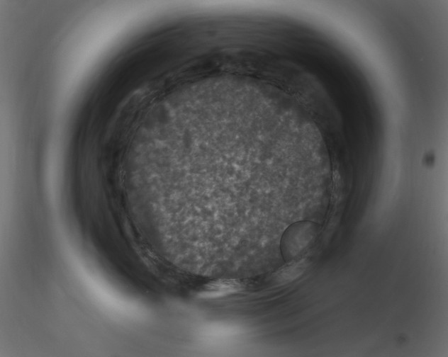 X0000116610765200912312118