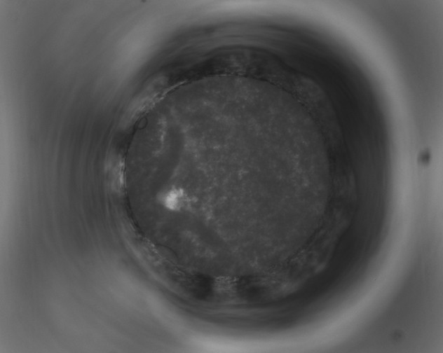 X0000116610766200912312118