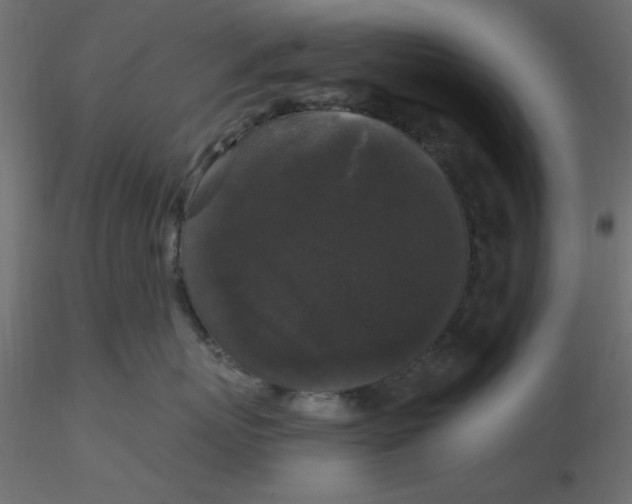 X0000116610767200912312118