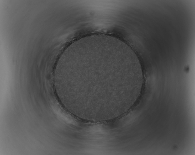 X0000116610769200912312117