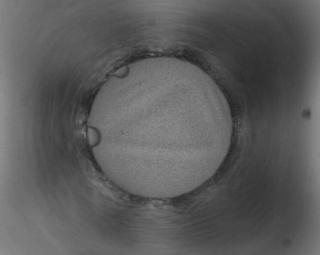 X0000116610770200912312117