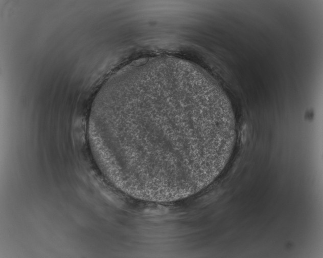 X0000116610772200912312117