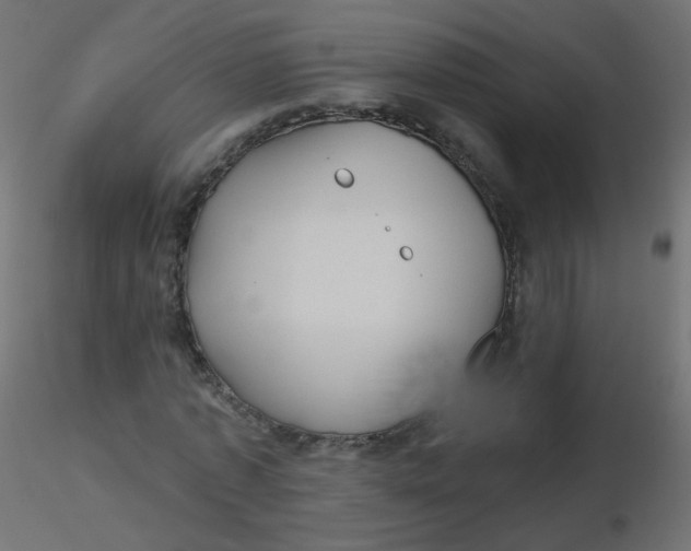 X0000116610773200912312117