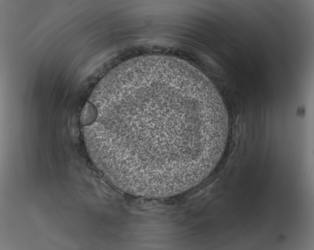 X0000116610774200912312117