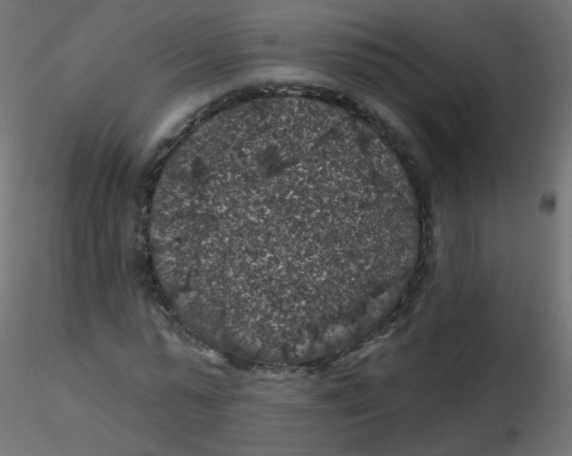 X0000116610775200912312117