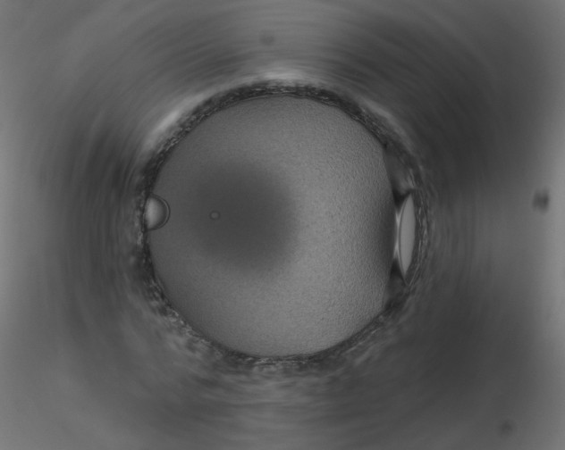 X0000116610776200912312117