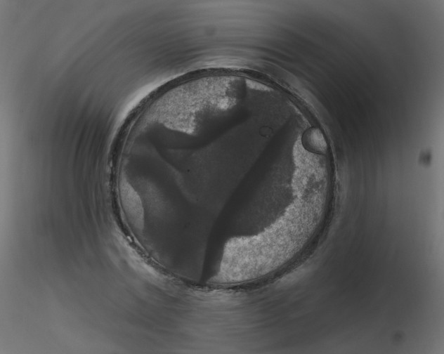 X0000116610779200912312117