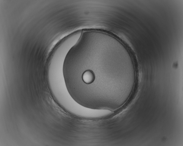 X0000116610781200912312117