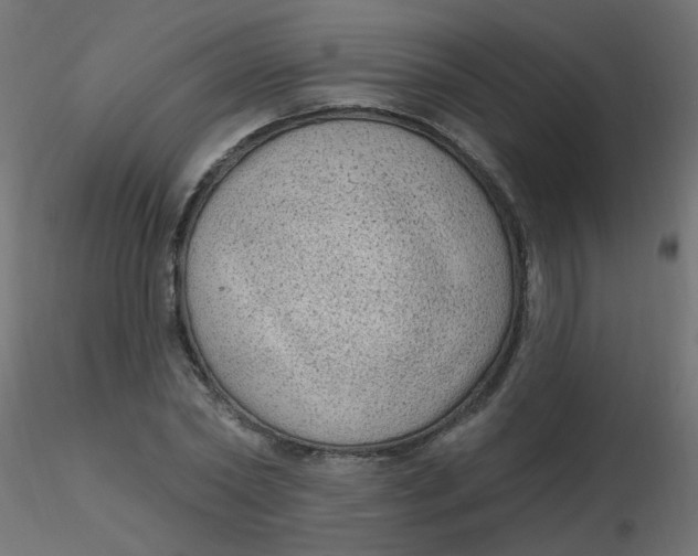 X0000116610782200912312117