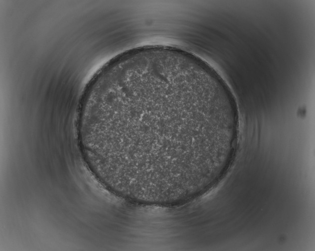 X0000116610783200912312117