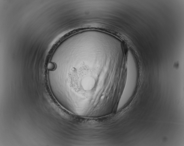 X0000116610784200912312117