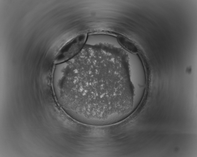 X0000116610785200912312117