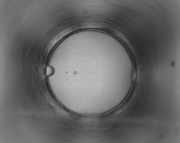 X0000116610786200912312117