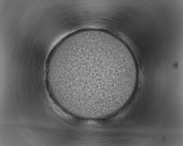 X0000116610787200912312117