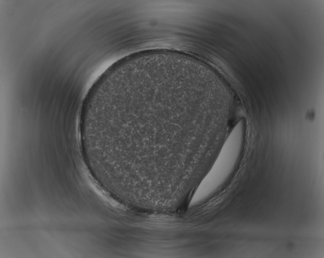 X0000116610788200912312117