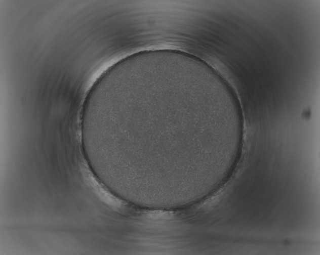 X0000116610789200912312117