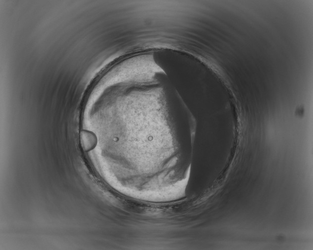 X0000116610790200912312117