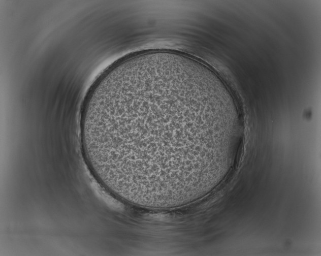 X0000116610792200912312117