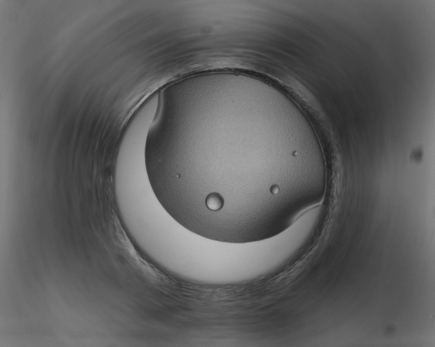 X0000116610793200912312117