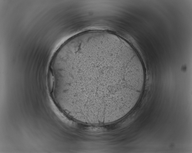 X0000116610795200912312117