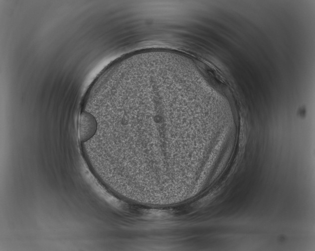 X0000116610796200912312117