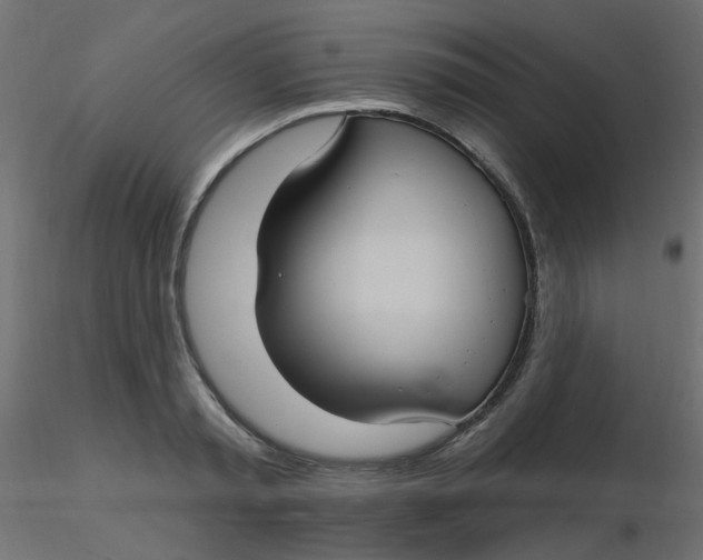 X0000116610797200912312117