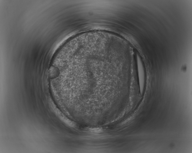 X0000116610798200912312117