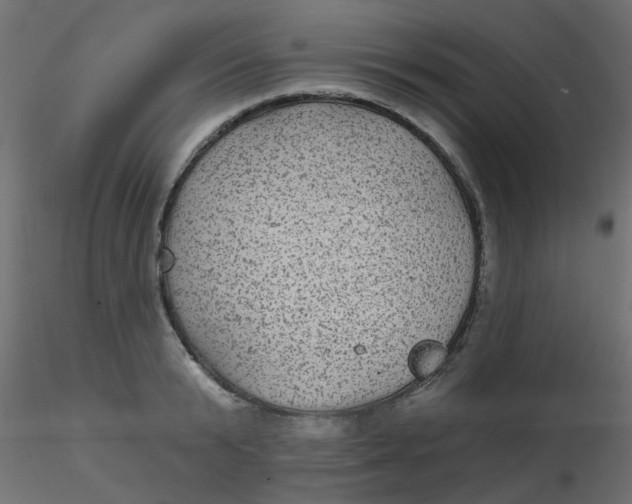 X0000116610799200912312117