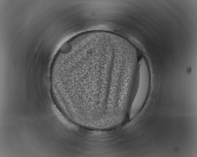 X0000116610800200912312117