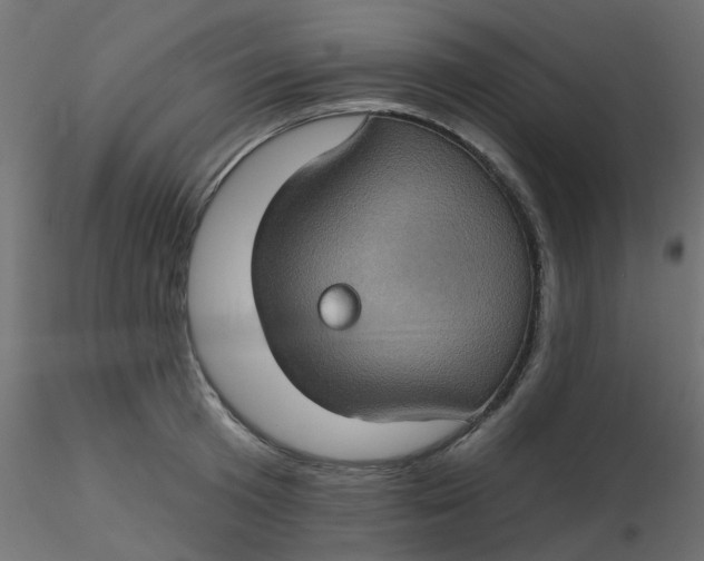 X0000116610801200912312117