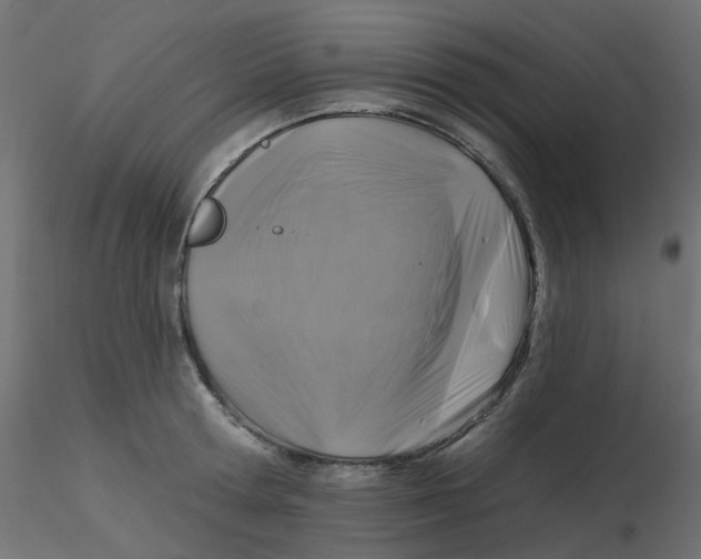 X0000116610802200912312117