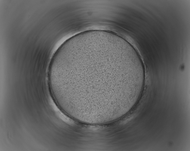 X0000116610803200912312117