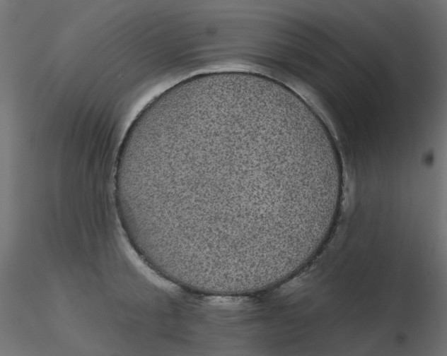 X0000116610805200912312117