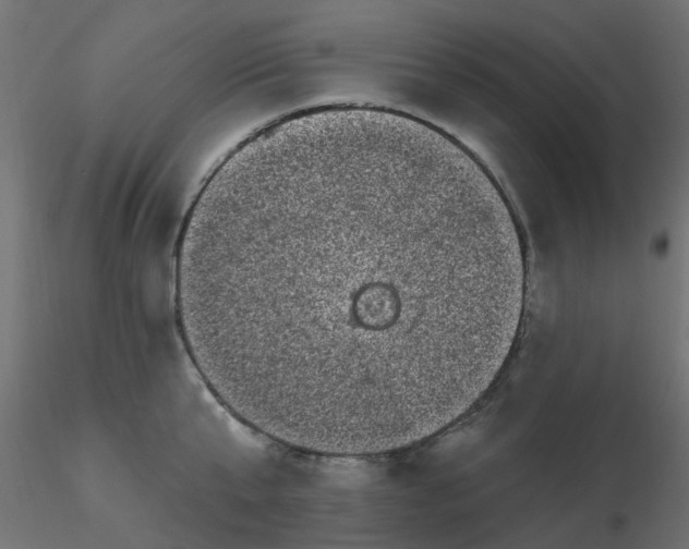 X0000116610807200912312117