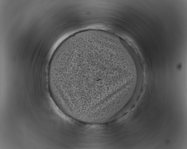 X0000116610808200912312116