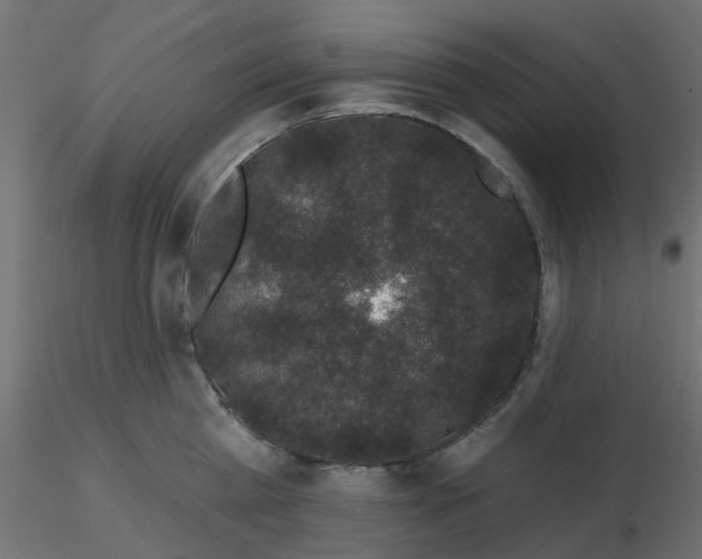 X0000116610809200912312116