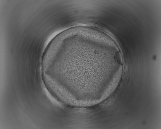 X0000116610811200912312116