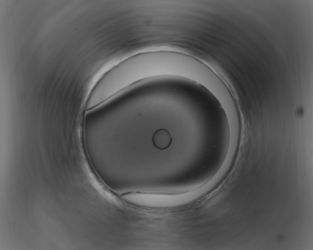 X0000116610813200912312116