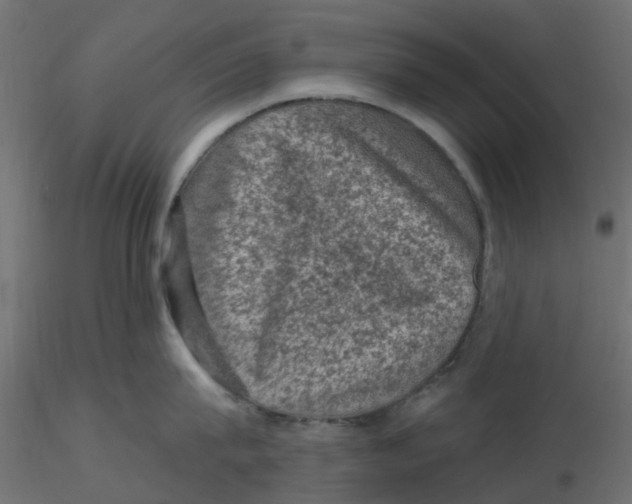 X0000116610815200912312116