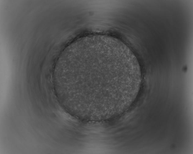 X0000116610817200912312116