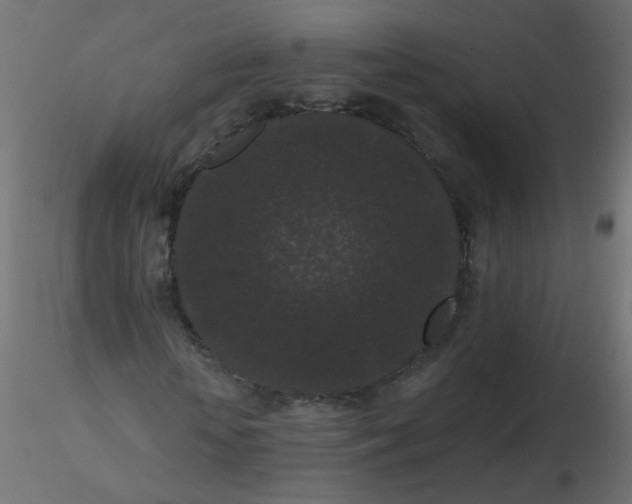 X0000116610818200912312116